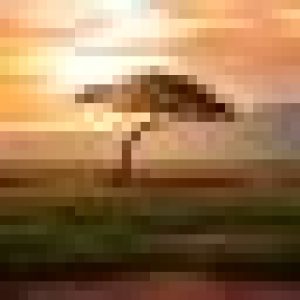 欧米茄超霸月球表的价格发展：复古款和现代款前50位